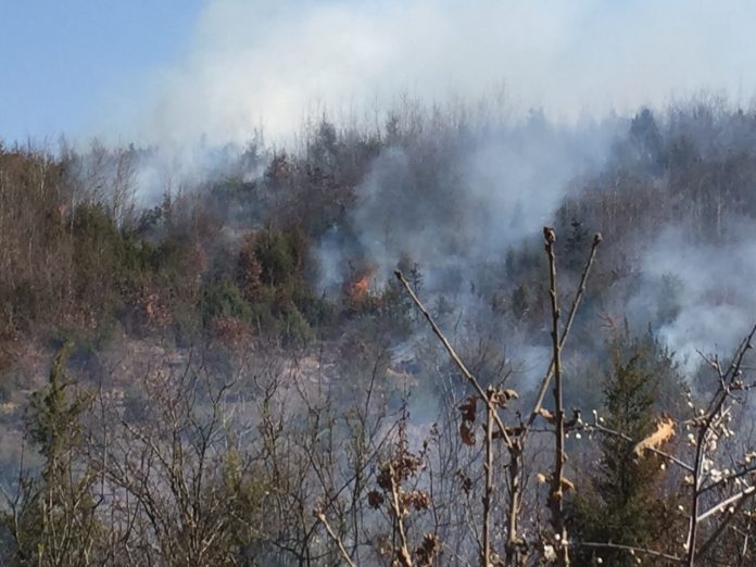 Image result for zjarret ne malet e kosoves